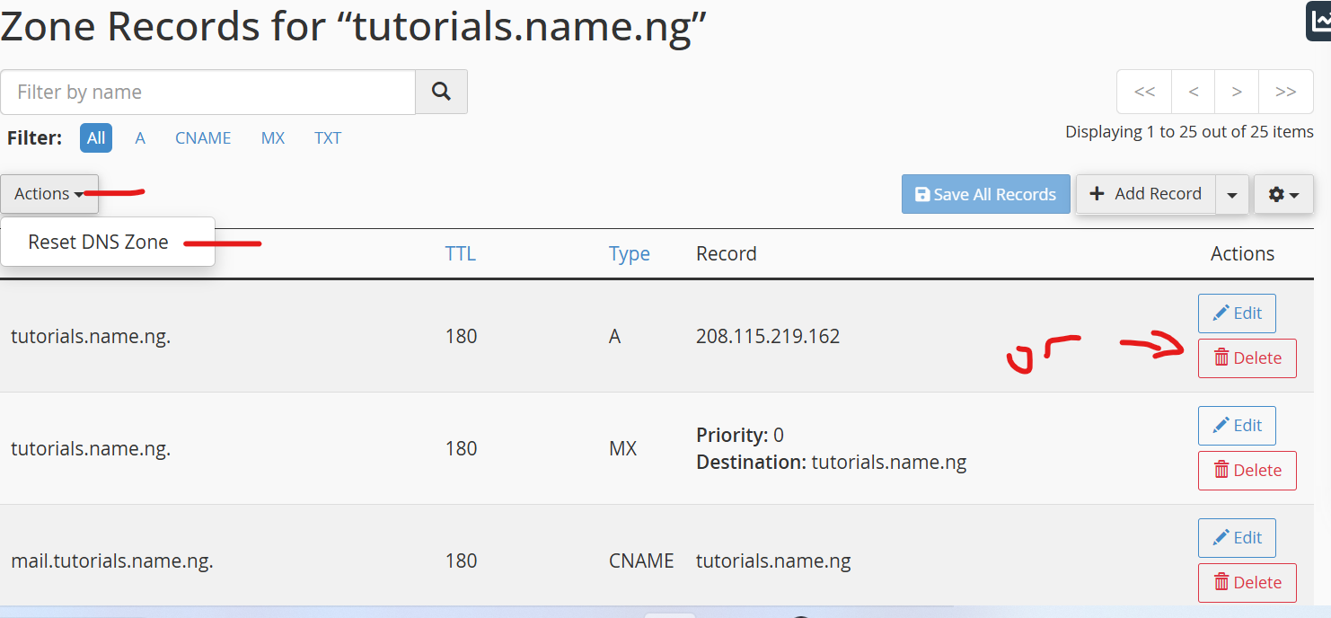 How to Reset DNS in cPanel - Smart Web Nig. Ltd.